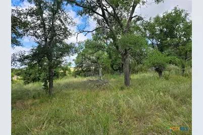 Tbd-End Bunnell Road, Purmela, TX 76566 - Photo 7