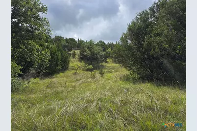 Tbd-End Bunnell Road, Purmela, TX 76566 - Photo 5