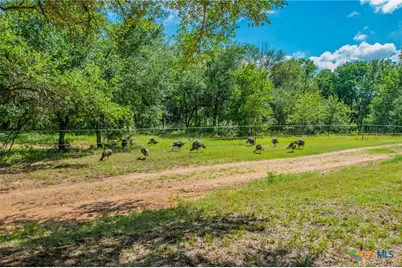 622 Private Road 4053, Buckholts, TX 76518 - Photo 3