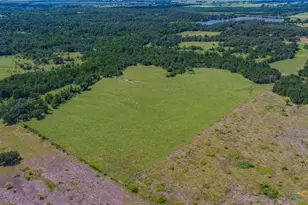 622 Private Rd 4053, Buckholts, TX 76518 - Photo 1