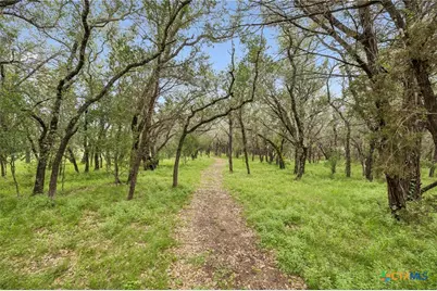 300 Bluff Road, Spicewood, TX 78669 - Photo 9