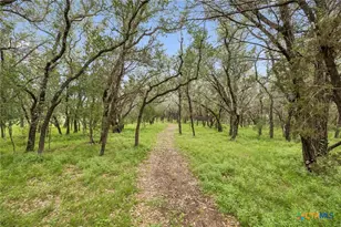 300 Bluff Rd, Spicewood, TX 78669 - Photo 9