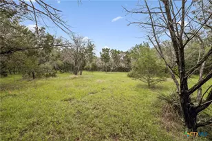 300 Bluff Rd, Spicewood, TX 78669 - Photo 37