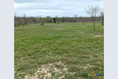 000 Pierce Road, Goliad, TX 77963 - Photo 9