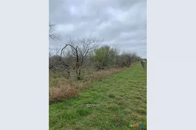 000 Pierce Road, Goliad, TX 77963 - Photo 11