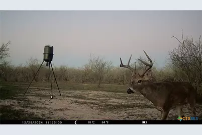 000 Pierce Road, Goliad, TX 77963 - Photo 3