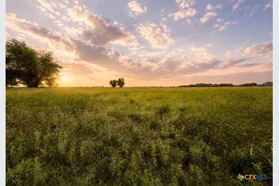 2056 Fm 2114, Clifton, TX 76634 - Photo 7