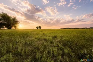 2056 Fm 2114, Clifton, TX 76634 - Photo 7