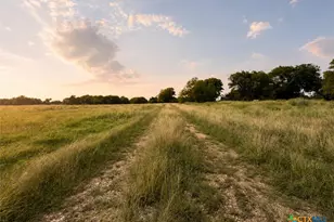 2056 Fm 2114, Clifton, TX 76634 - Photo 5
