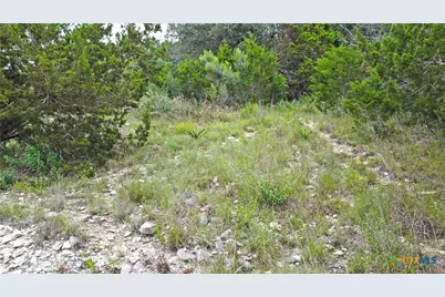 350 La Paloma Drive, Canyon Lake, TX 78133 - Photo 9