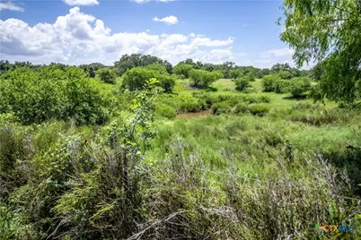3226 State Highway 119, Yorktown, TX 78164 - Photo 17
