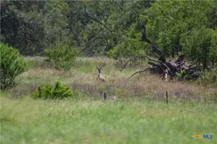 3226 State Hwy 119, Yorktown, TX 78164 - Photo 43