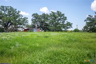 3226 State Hwy 119, Yorktown, TX 78164 - Photo 11