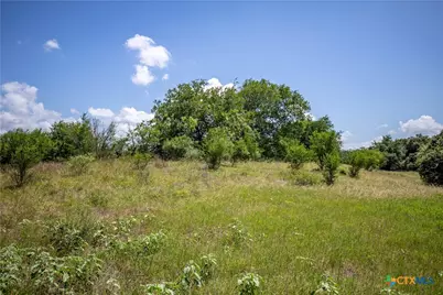 3226 State Highway 119, Yorktown, TX 78164 - Photo 15