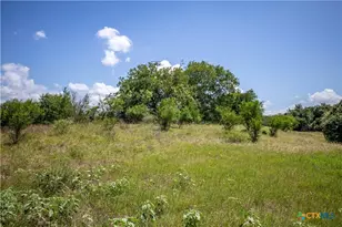 3226 State Hwy 119, Yorktown, TX 78164 - Photo 15