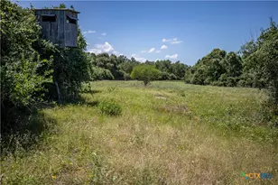 3226 State Hwy 119, Yorktown, TX 78164 - Photo 15