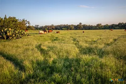 3226 State Highway 119, Yorktown, TX 78164 - Photo 7