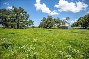 3226 State Hwy 119, Yorktown, TX 78164 - Photo 13