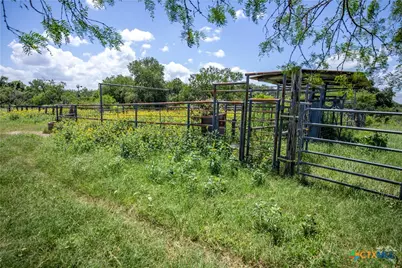 3226 State Highway 119, Yorktown, TX 78164 - Photo 25