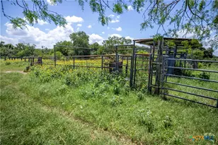 3226 State Hwy 119, Yorktown, TX 78164 - Photo 25