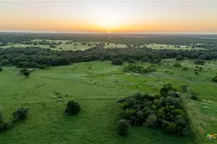 3226 State Hwy 119, Yorktown, TX 78164 - Photo 9