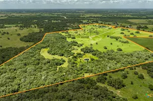 3226 State Hwy 119, Yorktown, TX 78164 - Photo 5