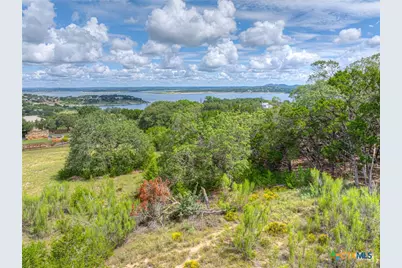 980 El Capitan Trail, Canyon Lake, TX 78133 - Photo 3
