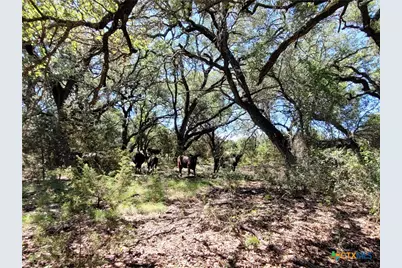 Tbd Cr 1139 575 Acres, Lampasas, TX 76550 - Photo 5