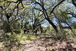 Tbd Cr 1139 575 Acres, Lampasas, TX 76550 - Photo 5
