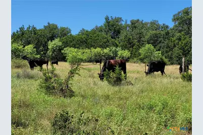 Tbd Cr 1139 575 Acres, Lampasas, TX 76550 - Photo 13
