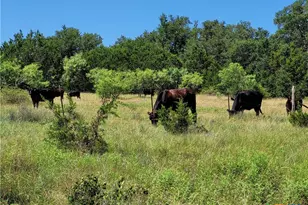 Tbd Cr 1139 575 Acres, Lampasas, TX 76550 - Photo 13