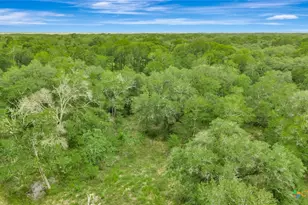 4600 FM1862, Blessing, TX 77419 - Photo 15