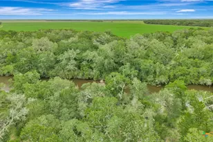 4600 FM1862, Blessing, TX 77419 - Photo 13