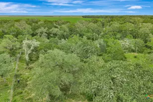 4600 FM1862, Blessing, TX 77419 - Photo 39