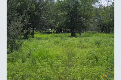 000 Hwy 36, Milano, TX 76556 - Photo 7