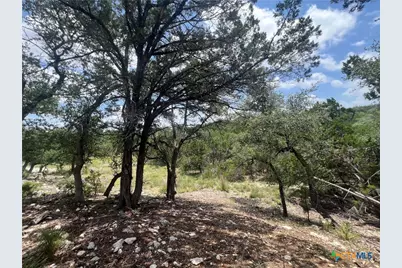 1252 Parton Road, Canyon Lake, TX 78133 - Photo 3