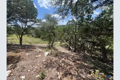 1252 Parton Road, Canyon Lake, TX 78133 - Photo 9