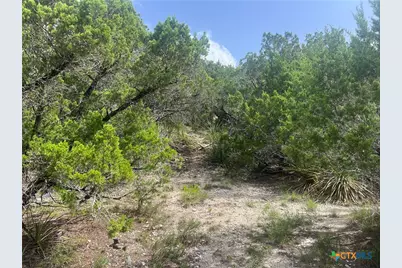 268 Scenic Hills Drive, Canyon Lake, TX 78133 - Photo 7
