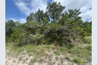 268 Scenic Hills Drive, Canyon Lake, TX 78133 - Photo 3