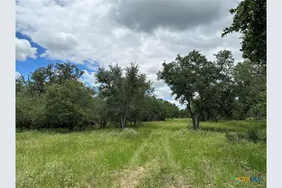 5 Burlin Lane, Meyersville, TX 77974 - Photo 3
