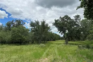 5 Burlin Ln, Meyersville, TX 77974 - Photo 3