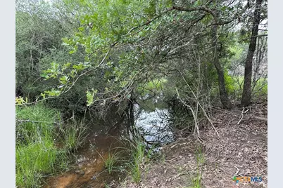 5 Burlin Lane, Meyersville, TX 77974 - Photo 5