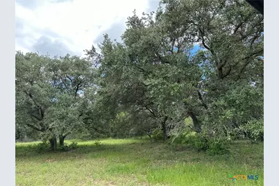 5 Burlin Lane, Meyersville, TX 77974 - Photo 7