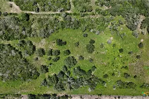 Tbd Fm 1351, Goliad, TX 77963 - Photo 1