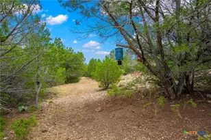 13812 High Lonesome, Del Rio, TX 78840 - Photo 31