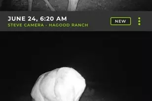 13812 High Lonesome, Del Rio, TX 78840 - Photo 39