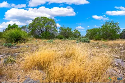 13812 High Lonesome, Del Rio, TX 78840 - Photo 37