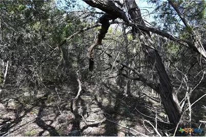 979 & 987 Deer Valley Pass, Spring Branch, TX 78070 - Photo 7