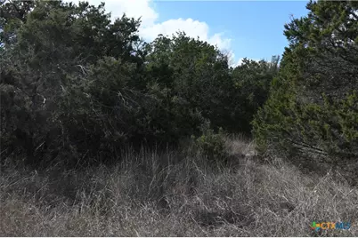 979 & 987 Deer Valley Pass, Spring Branch, TX 78070 - Photo 1