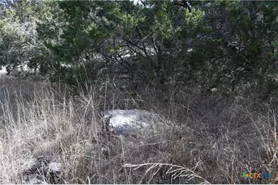 979 & 987 Deer Valley Pass, Spring Branch, TX 78070 - Photo 15